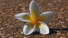 流年无恙,光阴留香