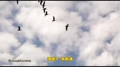 鸿雁 (蒙语)呼斯楞