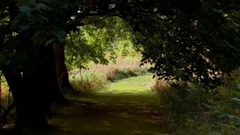 巴赫:萨拉邦舞曲