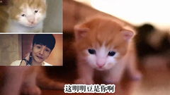 喵届李荣浩???