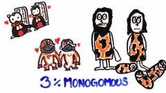 The Science of Cheating