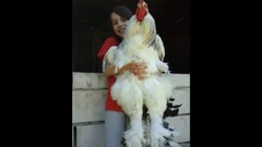 World's Biggest Animal 2016 2017