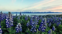 Bressanone布列瑟农