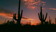 I Rio - Mediterraneo (videoclip)