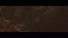 Tua Paz (Videoclipe)