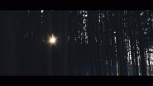 SAINT WKND - Golden (Official Video)