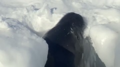 西班牙盲人作曲家华金·罗德里戈的吉他协奏曲:“绅士幻想曲”