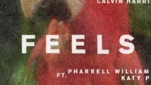 Feels 试听版