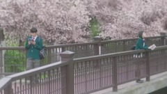 「君の膵臓をたべたい」予告2