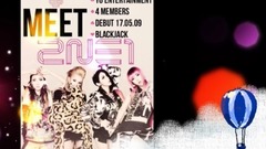 2NE1 (2014年)MV视频排行