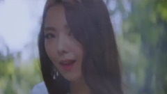 生命树