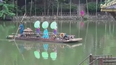 放飞孔雀