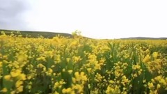 乌兰托娅 - 高原上的情歌