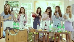 Shake it(by SISTAR)