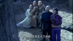 青年霍元甲