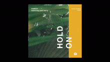 Josh Barry & Fabich - Hold On