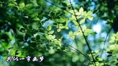 一帘幽梦
