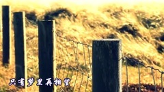 车站