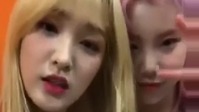 LABOUM/momoland - 律喜,JOOE live直播