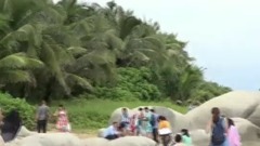 梦在海南岛