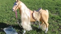American Girl Doll Horse & Stable Playset Review