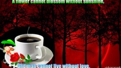 GOOD MORNING video -Whatsapp