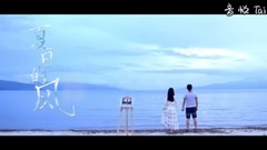 韩俊林 - 夏日的风