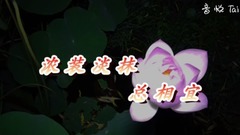 浓装淡抹总相宜