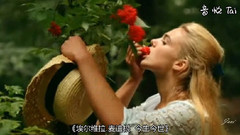 埃尔维拉.麦迪根 今生今世---莫扎特C大调第21号钢琴协奏曲第二乐章