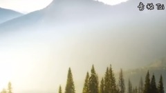 萨克斯 清晨