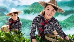 采茶舞曲