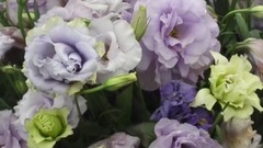 Top 10 Most Expensive Flowers In The World