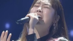 冬季玫瑰