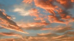 HEARTLAND