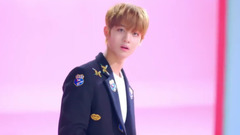 Rolly Teaser