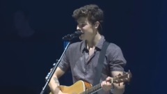 Stitches