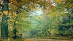 秋雨