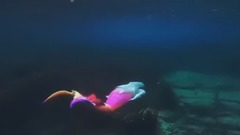 金发美女潜游海底戏水 婀娜多姿秀柔软腰身撩人