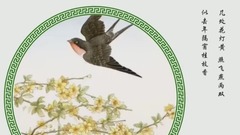 弄戏