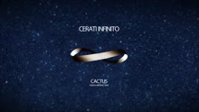 Gustavo Cerati - Cactus (Pseudo Video)