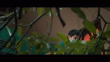 A.R. Rahman,Karthik - Aye Amaayika (From 