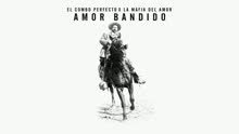 El Combo Perfecto,La Mafia del Amor - Amor Bandido (Audio)