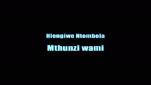Joyous Celebration - Mthunzi Wami
