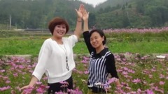 花的海洋
