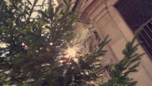 Ave Maria