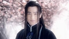 夜华个人向