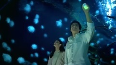 Siemens 荧光篇
