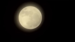 Moon Dance
