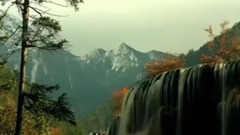 秋韵时光