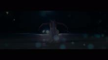 Starlight Filled Our Minds (Official Video)
